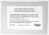 Image of Prosthemium neobetulinum